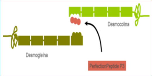 Peeling Biomim&eacute;tico para arrugas de expresi&oacute;n
